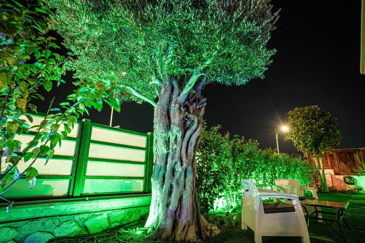 Villa Pomela By Sun And View Eilat Buitenkant foto
